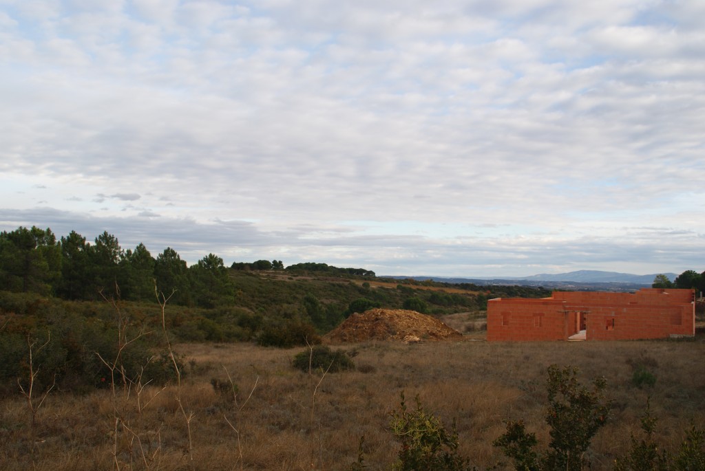 SONY DSC